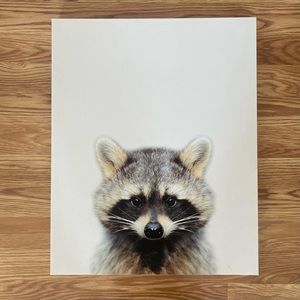 The spring shop raccoon 🦝 portrait